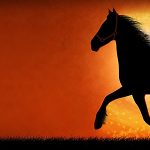 horse-illustration-header-image